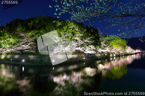 Image of Biwa lake canal with sakura tree