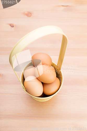 Image of Egg in bucket