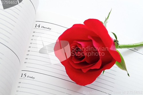 Image of Red rose with calendar