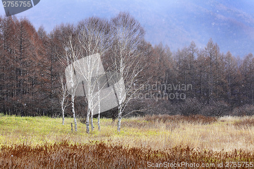 Image of Plateau in Japan 