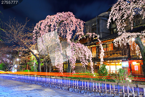 Image of Gion city with sakura tree at night