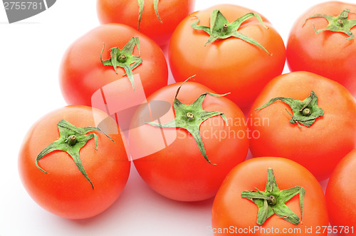 Image of Tomato