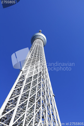 Image of Skytree in Japan