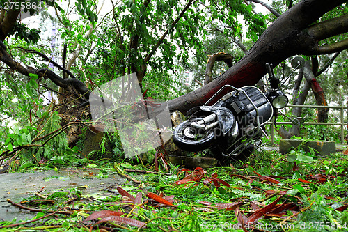 Image of Demaged after typhoon attack