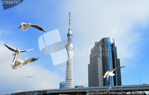 Image of Tokyo cityscape