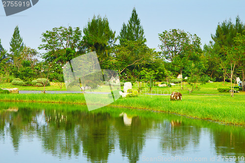Image of Green park and lake