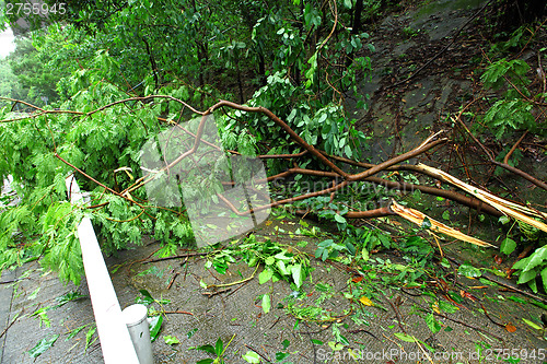 Image of Demaged after typhoon in city