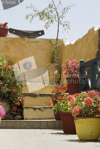 Image of flower display greek islands