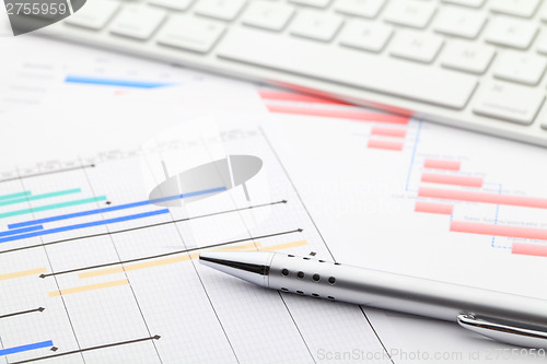 Image of Project gantt chart