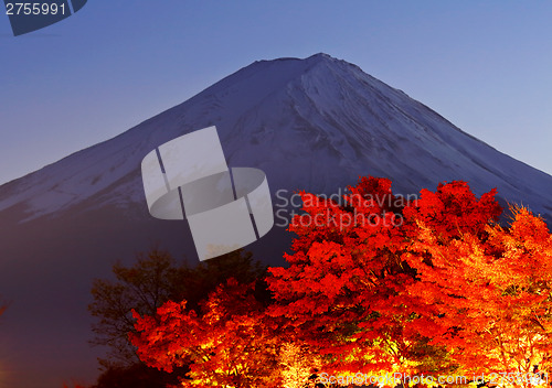 Image of Mountain Fuji with maple