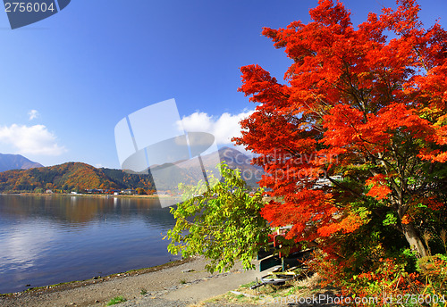 Image of Lake kawaguchi in autumn season