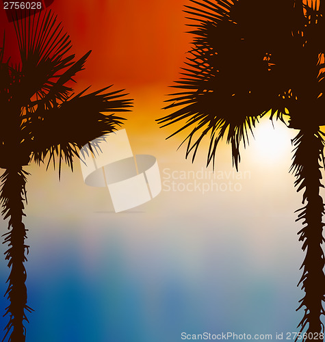 Image of Tropical palm trees, sunset background