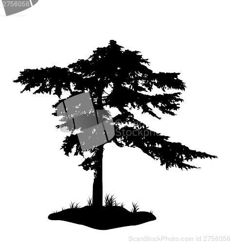 Image of Tree silhouette isolated on white background