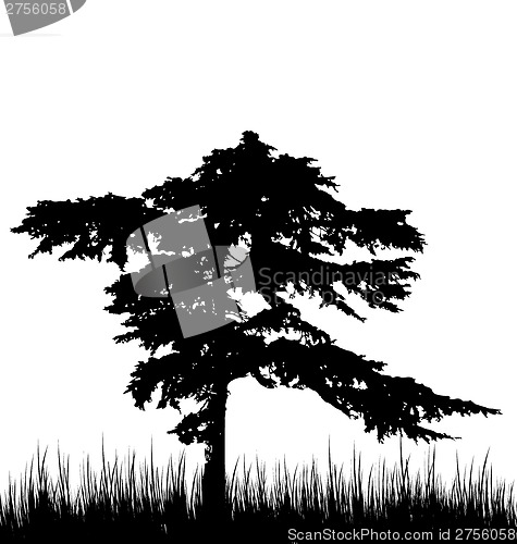 Image of Tree and grass in silhouette are isolated on white background 