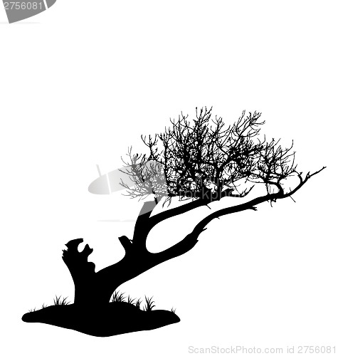 Image of Tree silhouette isolated on white background