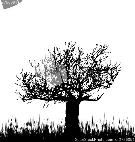Image of Tree and grass in silhouette are isolated on white background
