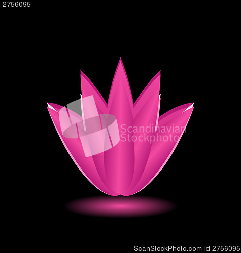 Image of Lotus flower isolated on black background
