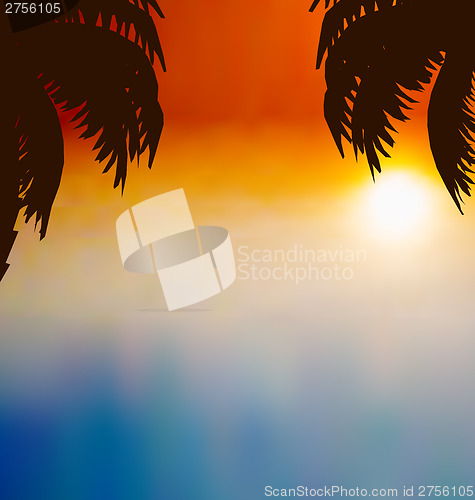 Image of Sunset background with palm trees
