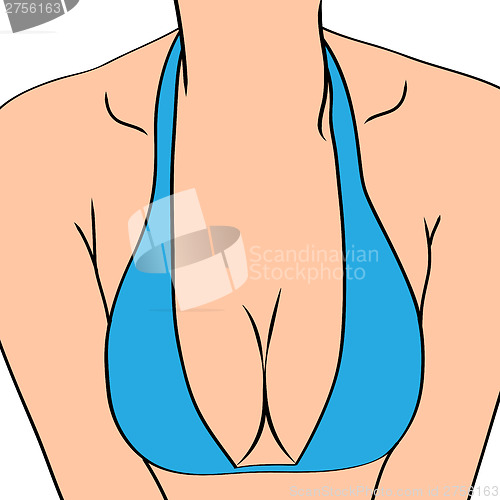 Image of Female sexy breast