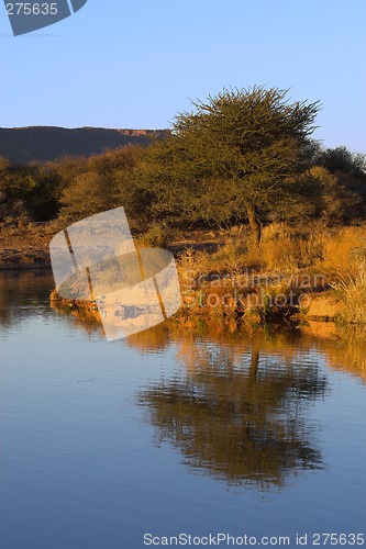 Image of African landscape