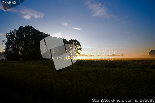 Image of Morning light