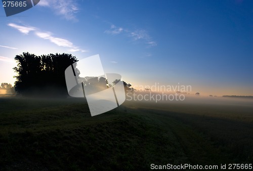 Image of Morning light