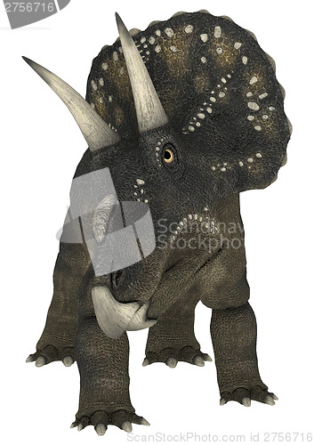 Image of Dinosaur Diceratops