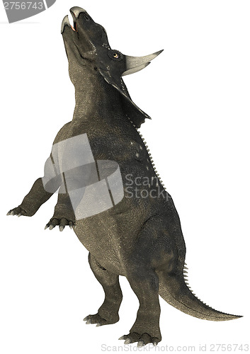 Image of Dinosaur Diceratops