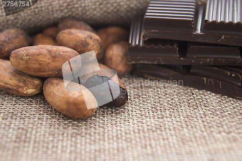 Image of Cocoa (cacao) beans with chocolate