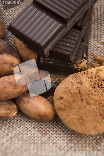 Image of Cocoa (cacao) beans with chocolate