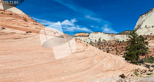 Image of Zion National Park