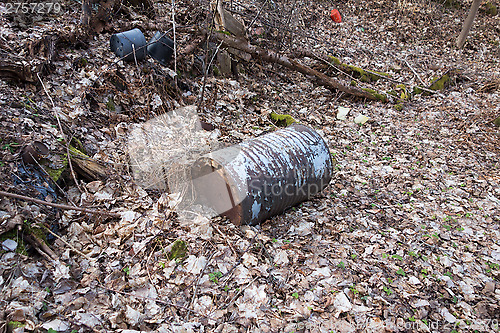 Image of Barrel in nature