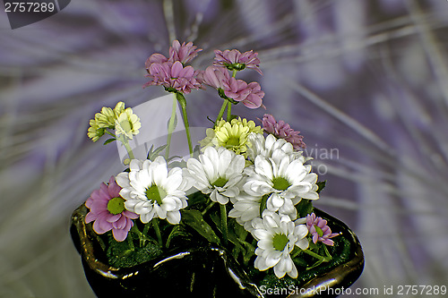 Image of Flowers