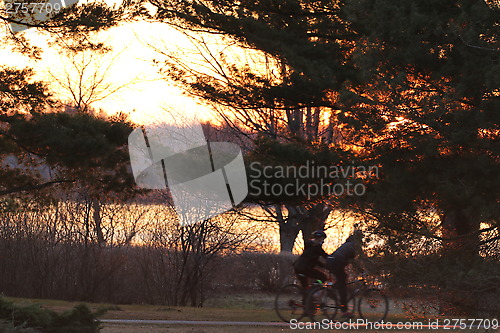 Image of A stroll on bikes on a sunny afternoon