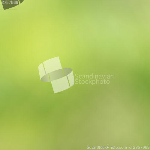 Image of natural green background