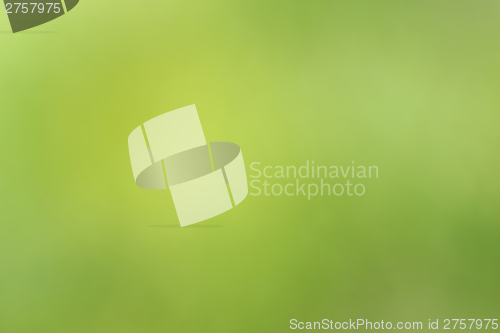 Image of natural green background