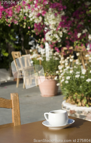 Image of coffee in the garden