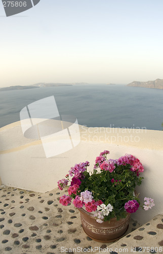 Image of flowers on staircase with stone inlay santorini