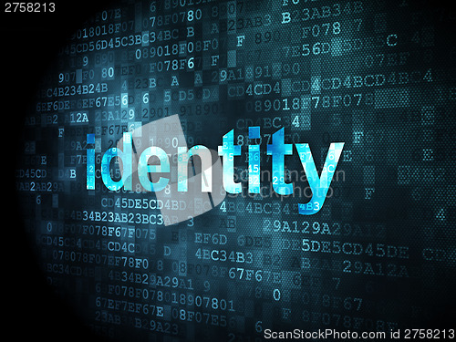 Image of Safety concept: Identity on digital background