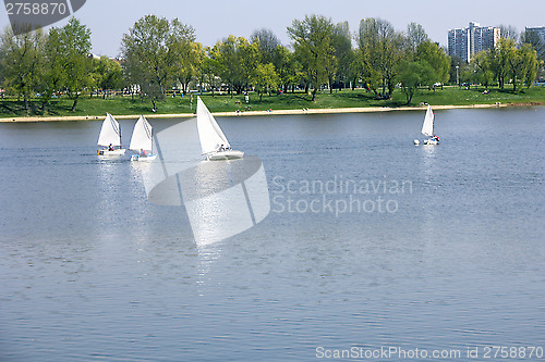 Image of Small boats sailing