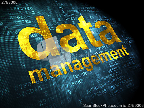 Image of Information concept: Data Management on digital background