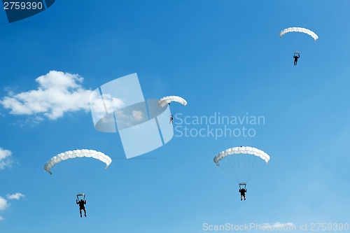 Image of unidentified skydiver on blue sky