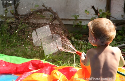 Image of Sommer im Garten