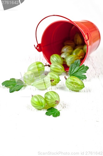 Image of green gooseberry in metal bucket 