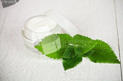 Image of face cream in glass jar with green leaf of urtica