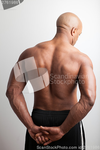 Image of Muscular Back