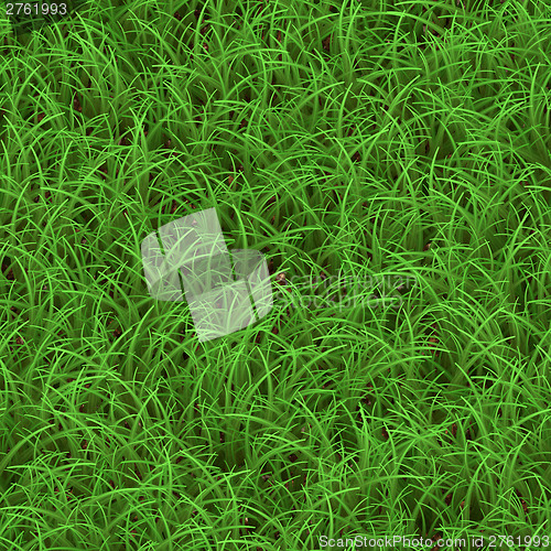 Image of Green Grass Seamless Pattern