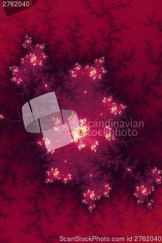 Image of Red Fractal
