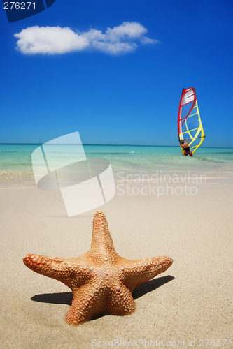 Image of Beach Summer Scene