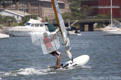 Image of Sailboarder